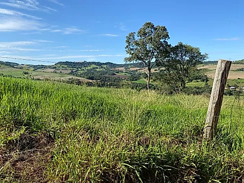 Fazenda em Porto Fanor, Mangueirinha