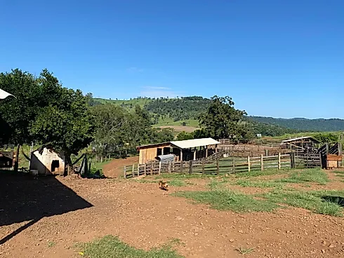 Fazenda em Porto Fanor, Mangueirinha