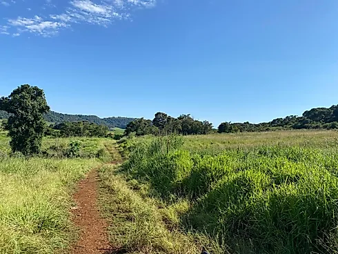 Fazenda 131,5 Alqueires Beira do Alagado de Salto Santiago - Foto 6