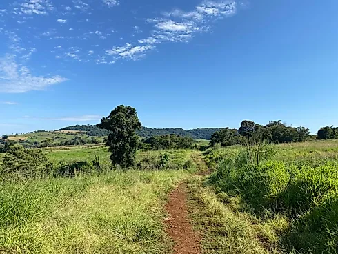 Fazenda 131,5 Alqueires Beira do Alagado de Salto Santiago - Foto 7