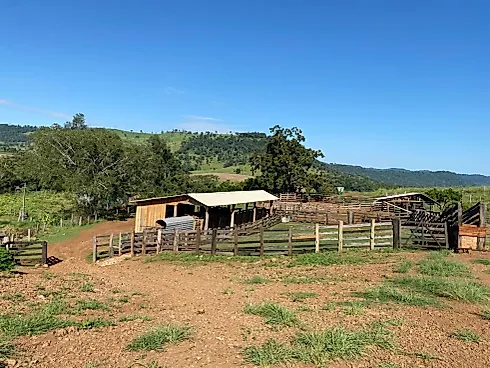 Fazenda 131,5 Alqueires Beira do Alagado de Salto Santiago - Foto 8