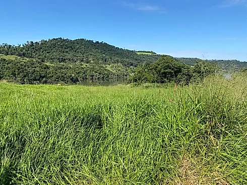 Fazenda 131,5 Alqueires Beira do Alagado de Salto Santiago - Foto 9