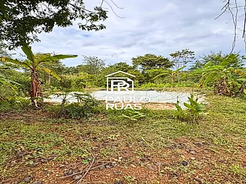 Terreno Próximo de Bocaiuva - Foto 6
