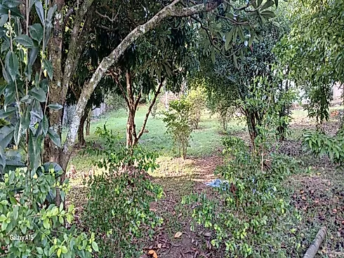 Chácara 2.512M² - Sítios de Recreio Mantiqueira - Foto 7