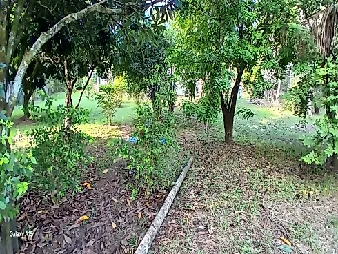 Chácara 2.512M² - Sítios de Recreio Mantiqueira - Foto 8
