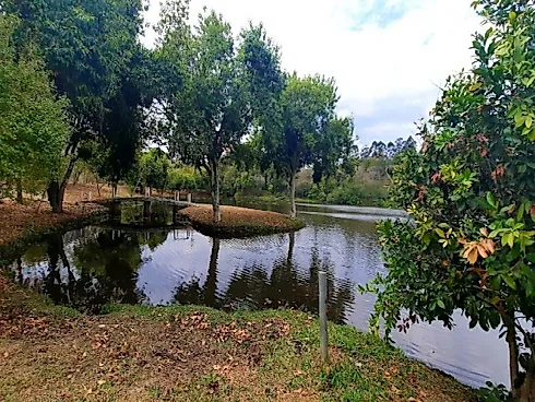 Lote no Condomínio Bella Vittá - Foto 12