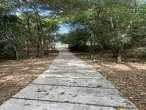 Lote no Condomínio Bella Vittá - Foto 7