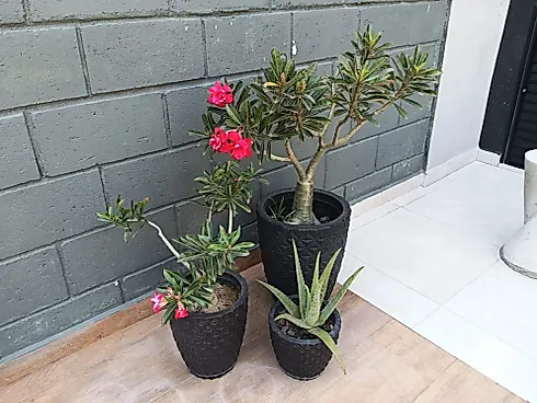 Lindo Sobrado à Venda no Residencial Esperança – Caçapava/SP - Foto 21