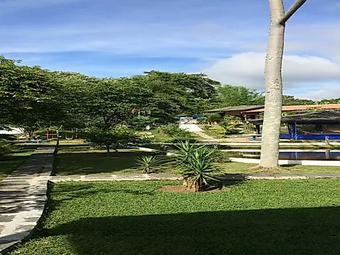Excelente Chácara à Venda - Chácara Primavera - Foto 9