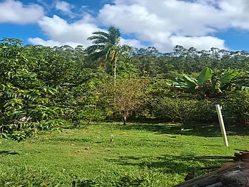 Chácara de 1.000M² a Venda - Oportunidade - Chácara em Borda da Mata, Caçapava - Foto 5