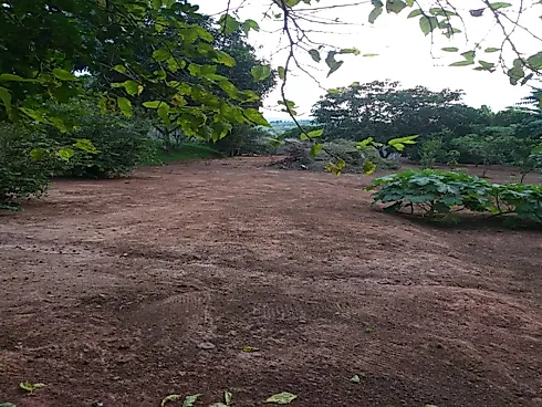 Linda Chácara à Venda – Vila Velha | Caçapava/SP - Foto 19