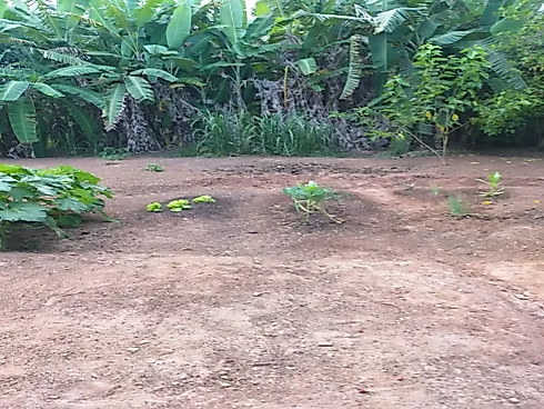 Linda Chácara à Venda – Vila Velha | Caçapava/SP - Foto 20