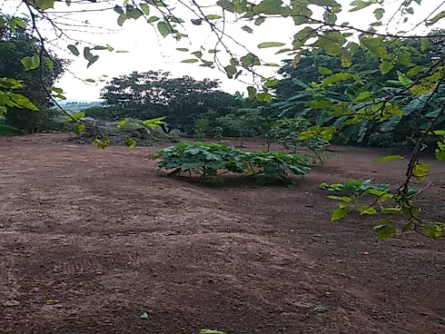 Linda Chácara à Venda – Vila Velha | Caçapava/SP - Foto 21