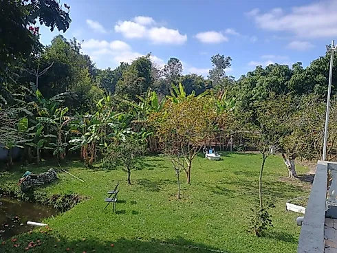 🌿 Linda Chácara à Venda – Conforto, Lazer e Contato com a Natureza! - Foto 10