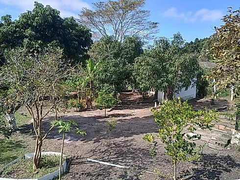 🌿 Linda Chácara à Venda – Conforto, Lazer e Contato com a Natureza! - Foto 11