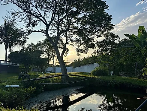 🌿 Linda Chácara à Venda – Conforto, Lazer e Contato com a Natureza! - Chácara em Vila Velha, Caçapava - Foto 3