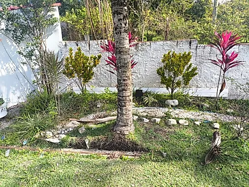 🌿 Linda Chácara à Venda – Conforto, Lazer e Contato com a Natureza! - Foto 40