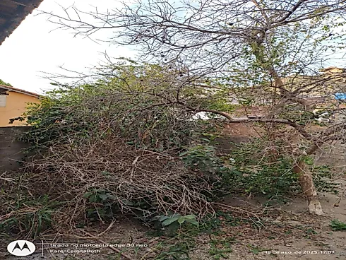 Oportunidade de Investimento – Vila Santos - Foto 15