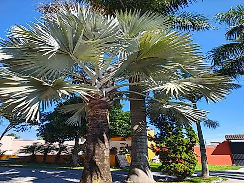Linda Chácara no Portal da Mantiqueira - Foto 57