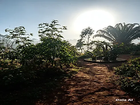 Chácara 1.500MT em Santa Tereza ES - Foto 8