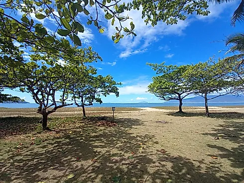 Terrenos Livres Pé na Areia do Capricórnio - Foto 11