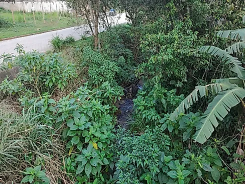 🏡 Terreno à Venda – Alto do Getuba | Caraguatatuba - Foto 17