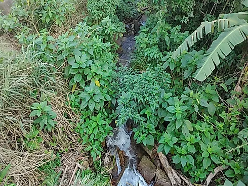 🏡 Terreno à Venda – Alto do Getuba | Caraguatatuba - Foto 18