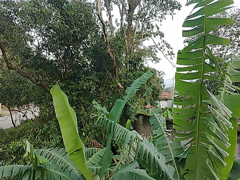 🏡 Terreno à Venda – Alto do Getuba | Caraguatatuba - Foto 19