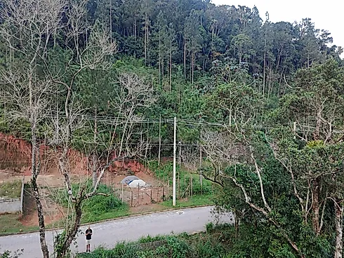 🏡 Terreno à Venda – Alto do Getuba | Caraguatatuba - Foto 7
