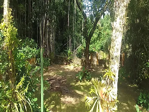 Casa Tipo Chácara à Venda | Massaguaçu – Caraguatatuba/SP - Foto 14