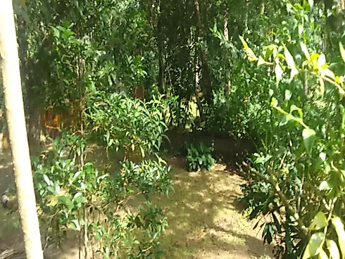 Casa Tipo Chácara à Venda | Massaguaçu – Caraguatatuba/SP - Foto 16