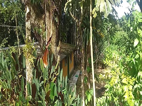 Casa Tipo Chácara à Venda | Massaguaçu – Caraguatatuba/SP - Foto 18