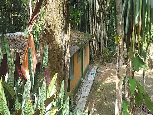 Casa Tipo Chácara à Venda | Massaguaçu – Caraguatatuba/SP - Foto 20
