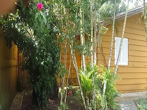 Casa Tipo Chácara à Venda | Massaguaçu – Caraguatatuba/SP - Foto 4