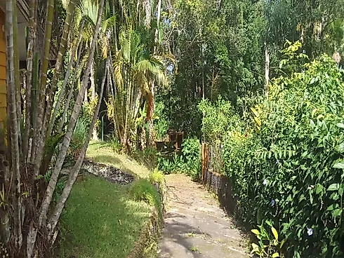 Casa Tipo Chácara à Venda | Massaguaçu – Caraguatatuba/SP - Foto 5
