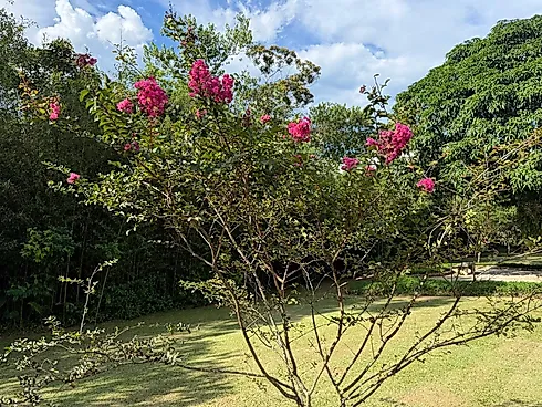 🏡 Casa de Alto Padrão | Condomínio Costa Verde Tabatinga - Foto 57