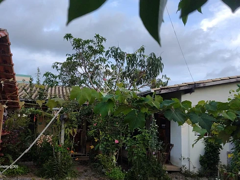 Centro, Bombinhas