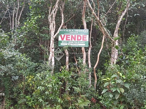 Zimbros, Bombinhas