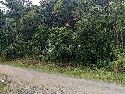 Terreno em Zimbros, Bombinhas