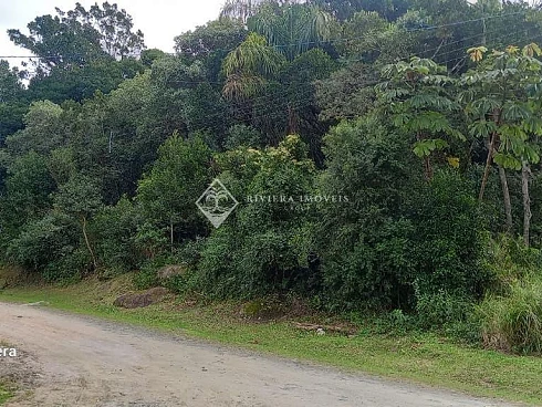 Terreno em Zimbros, Bombinhas
