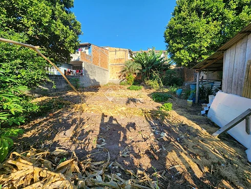 José Amândio, Bombinhas