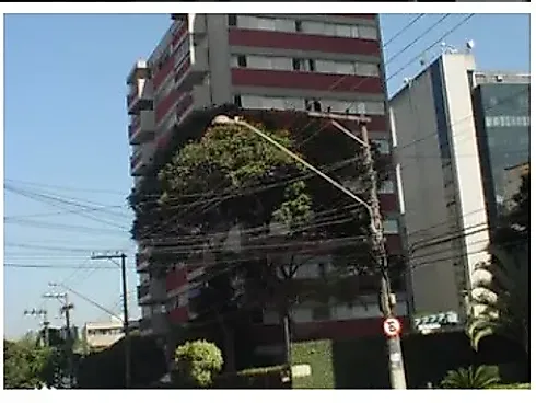 Apartamento com 2 Dormitórios Chácara Santo Antônio -  Locação - Foto 20