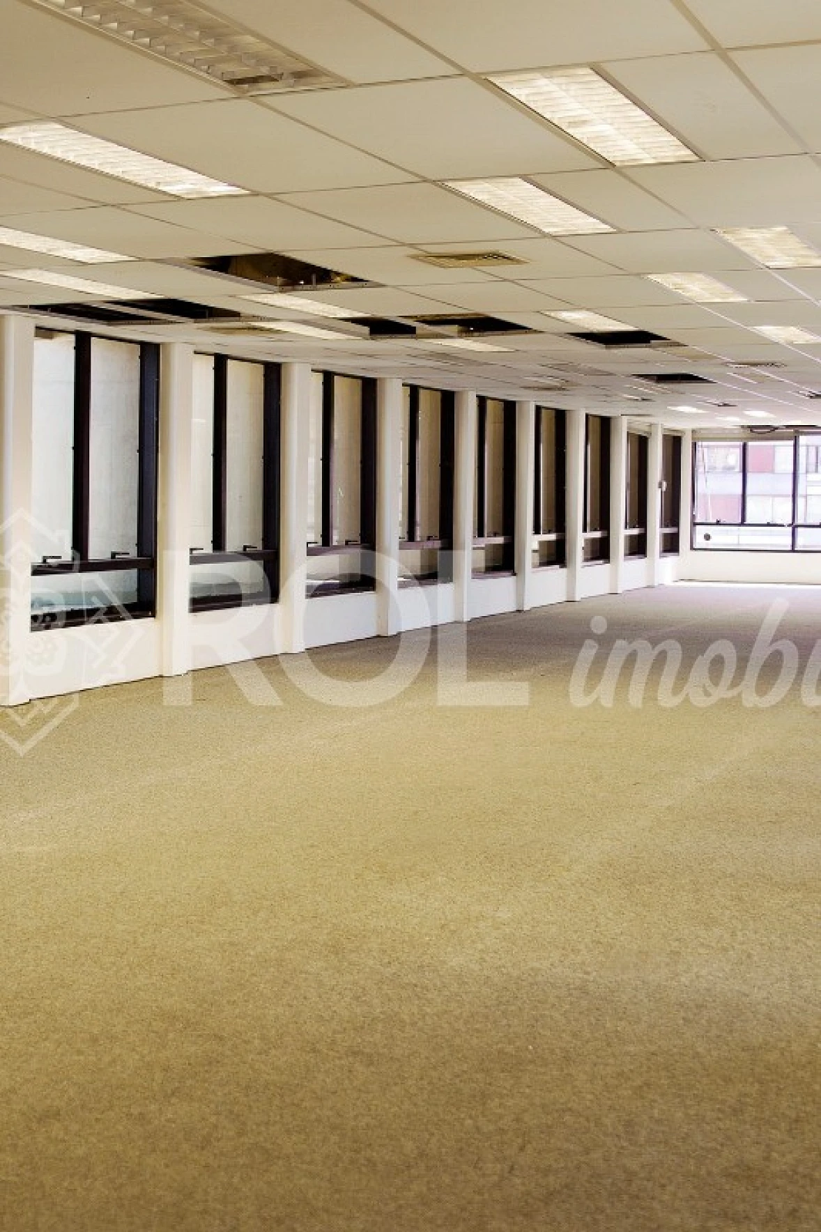 Escritorio/Sala - Bela Vista - Foto 6