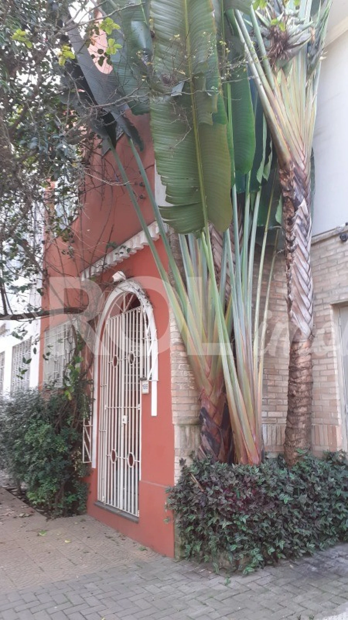 Casa 3 Quartos - Pinheiros - Foto 32