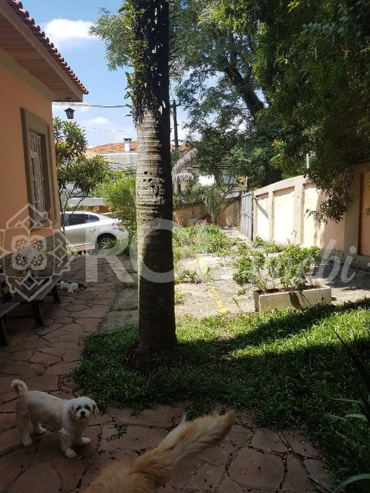 Casa 4 Quartos - Sumaré - Foto 16