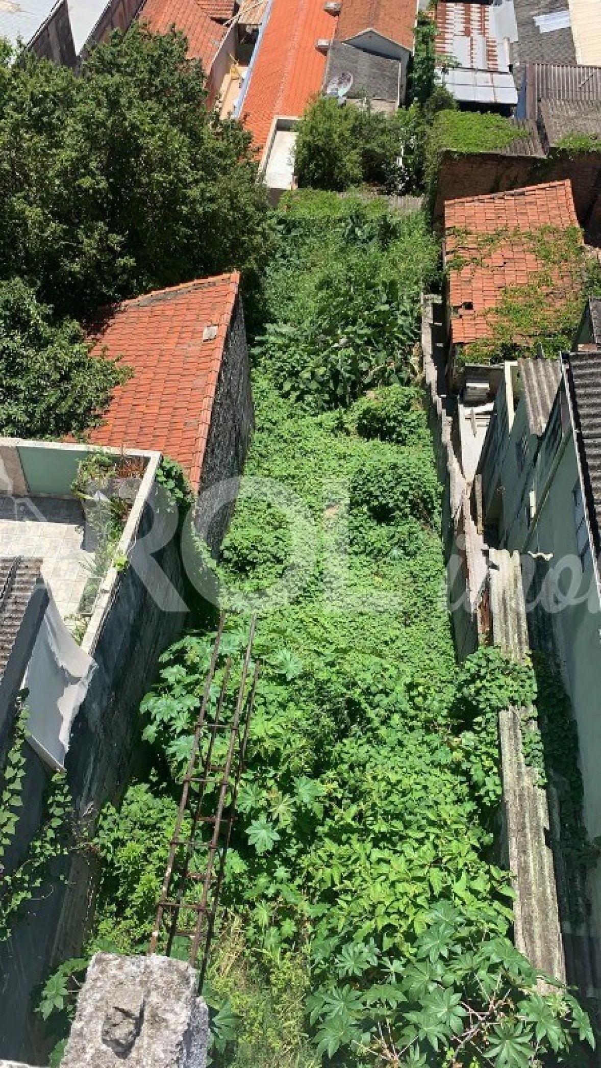 Terreno em Vila Anglo Brasileira, São Paulo
