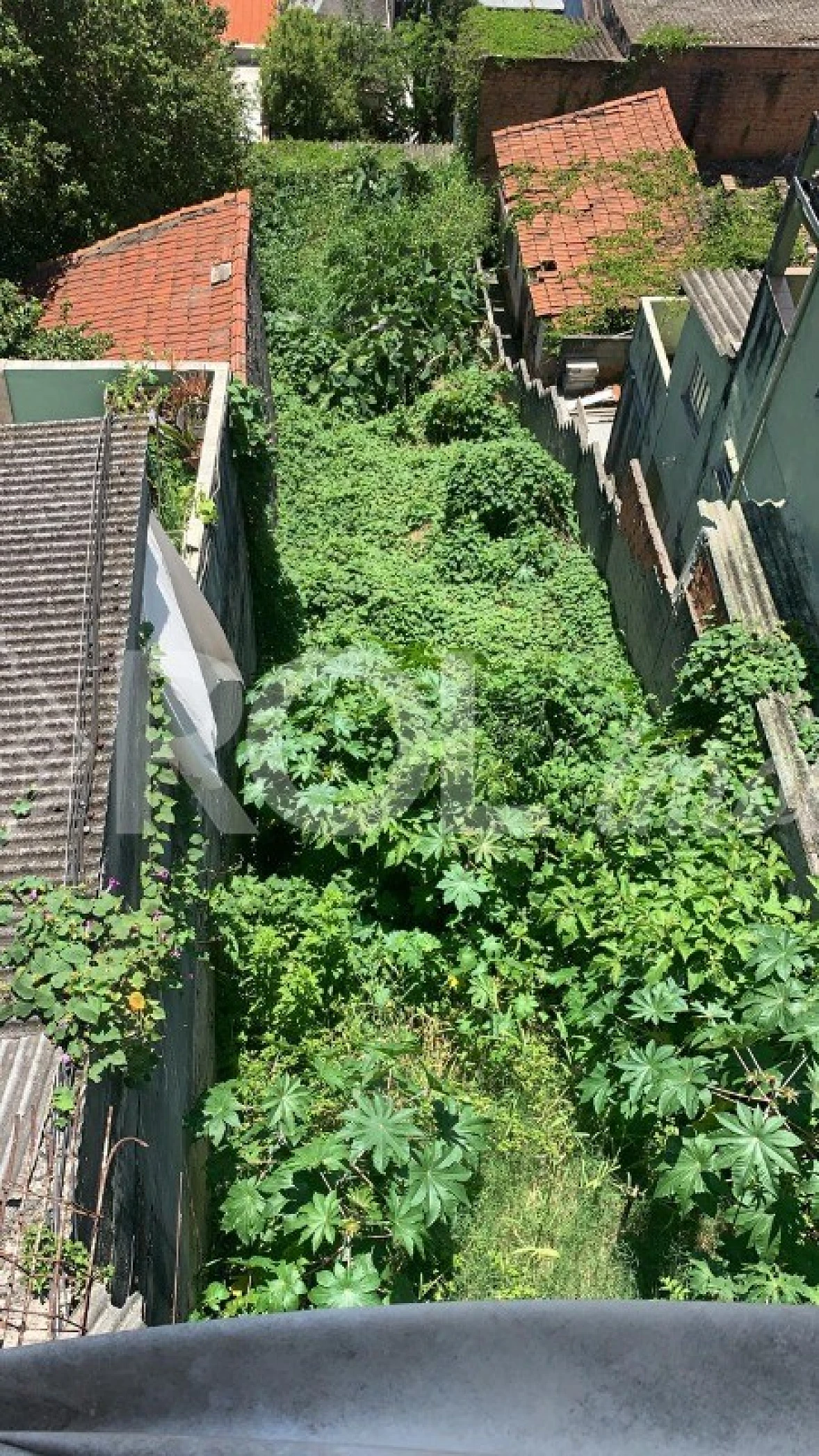 Terreno em Vila Anglo Brasileira, São Paulo