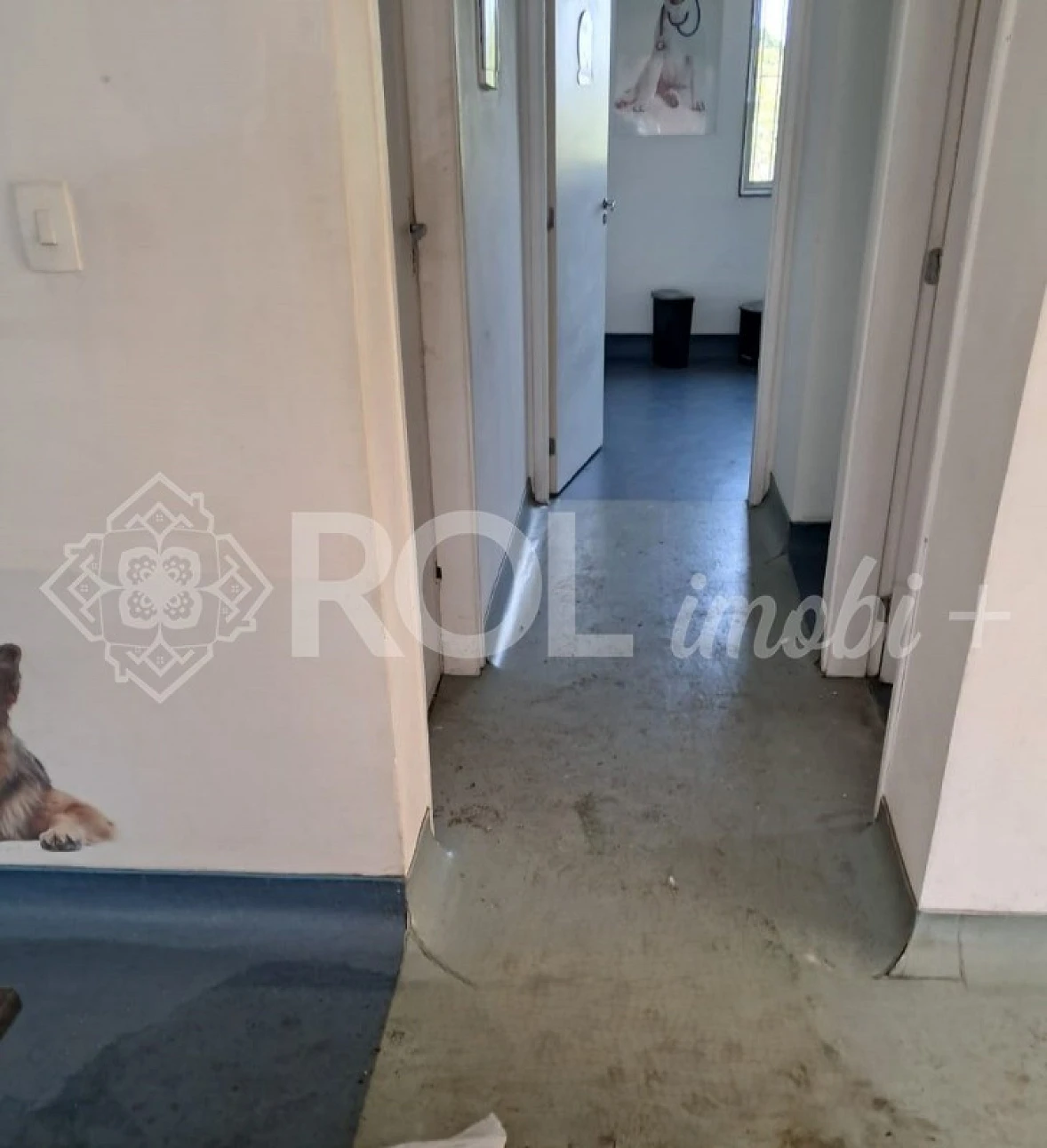 Lola Comercial 285 m² - Várias Salas - Amplo Espaço - 4 Vagas - Vila Romana- Venda - Foto 14
