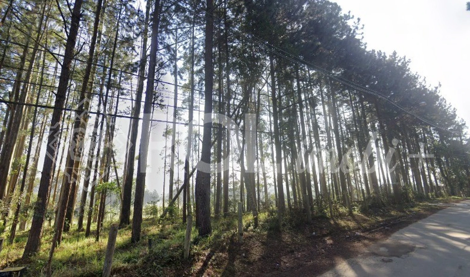 Terreno em Jardim da Represa do Cipo, Embu-guaçu