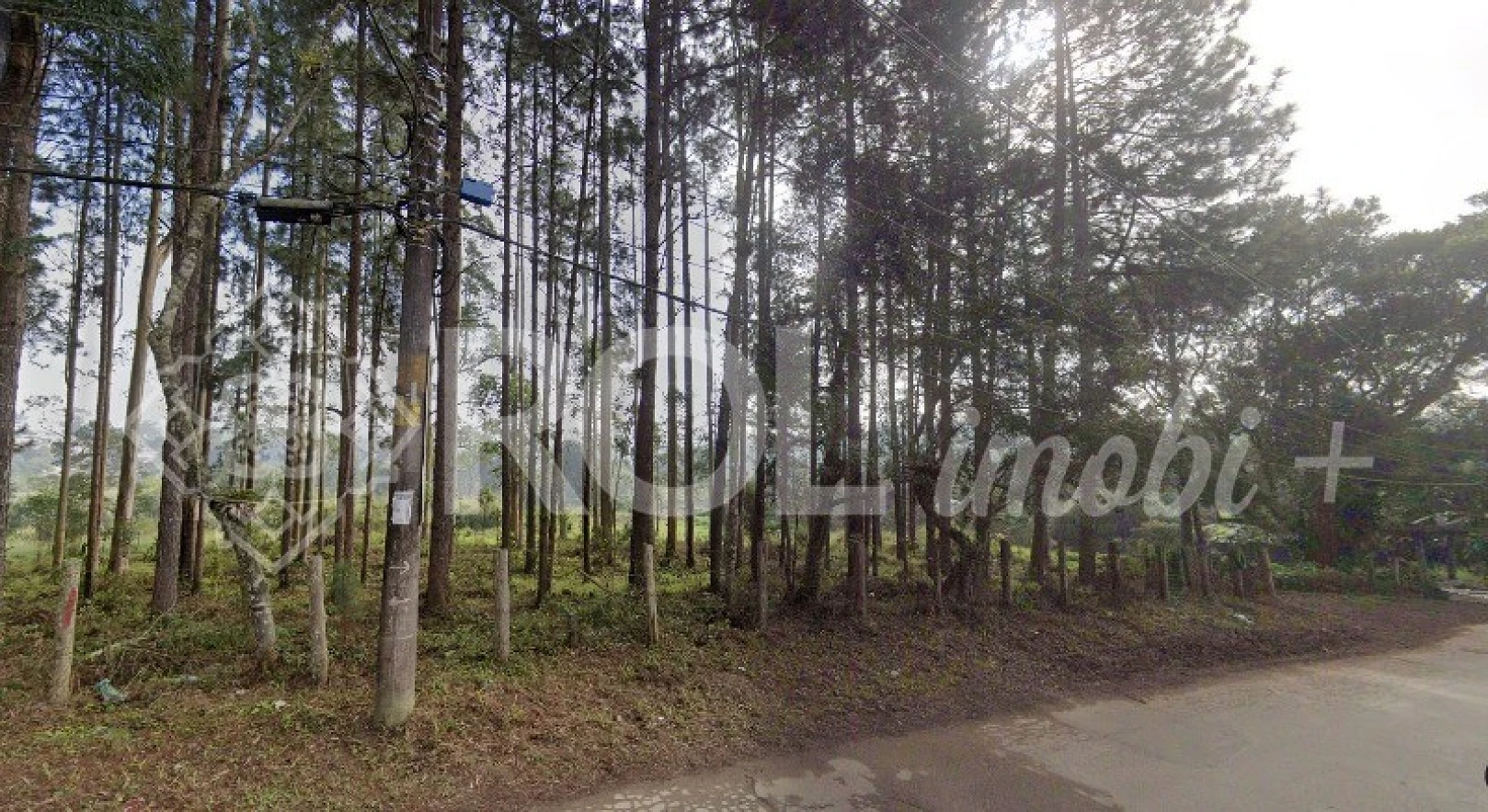 Terreno em Jardim da Represa do Cipo, Embu-guaçu